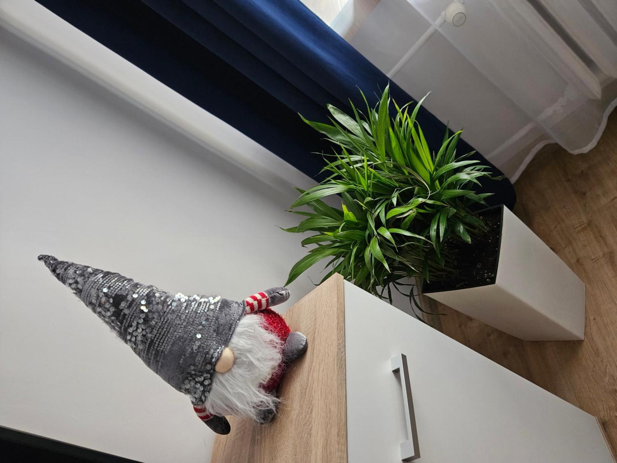 Apartamenty Koktajlove كيلتشي الغرفة الصورة